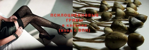 мет Коряжма