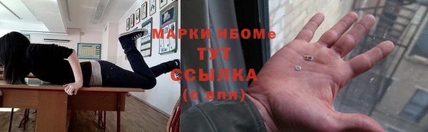 сатива Костерёво