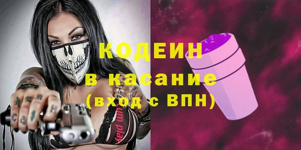 сатива Костерёво