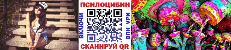 магазин  наркотиков  Шилка  Псилоцибиновые грибы MAGIC MUSHROOMS 